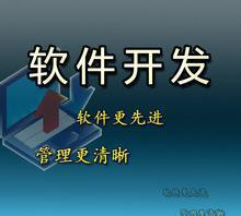 深圳財務管理軟件開發定制 賦能企業管理升級的新引擎